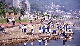 諏訪湖岸清掃の様子