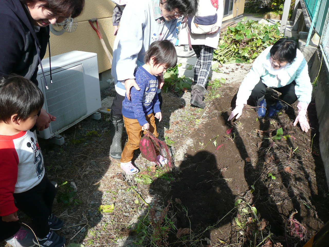 お芋掘り